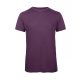 Triblend/men T-Shirt