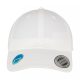 Ecowash Dad Cap