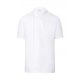 Chef's Shirt Basic Short Sleeve