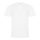 Just Polos JP100 THE 100 POLO S