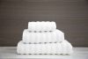 Olima OLH600 PREMIUM TOWEL 50X100